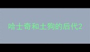 哈士奇和土狗的后代
