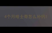 4个月哈士奇怎么补钙