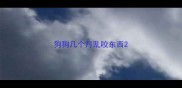 狗狗几个月乱咬东西