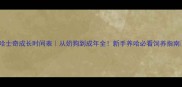 哈士奇成长时间表从奶狗到成年全新手养哈必看饲养指南