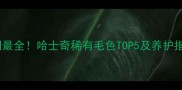 全网最全哈士奇稀有毛色TOP5及养护指南