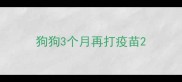 狗狗3个月再打疫苗
