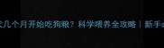 幼犬几个月开始吃狗粮科学喂养全攻略新手必看