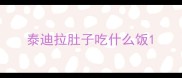 泰迪拉肚子吃什么饭