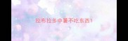 拉布拉多中暑不吃东西