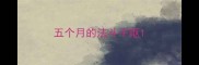 五个月的法斗干呕