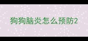 狗狗脑炎怎么预防