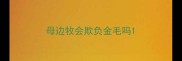 母边牧会欺负金毛吗