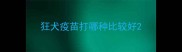 狂犬疫苗打哪种比较好