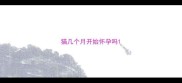 猫几个月开始怀孕吗