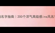 爆款狗狗名字指南200个洋气高级感ins风名字大公开