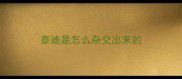 泰迪是怎么杂交出来的