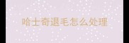 哈士奇退毛怎么处理
