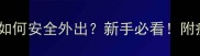 未完成疫苗的狗狗如何安全外出新手必看附疫苗全流程避坑指南