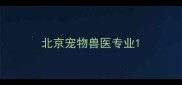 北京宠物兽医专业