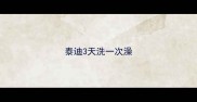 泰迪3天洗一次澡