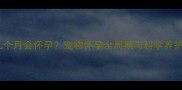 法斗几个月会怀孕宠物怀孕全周期与科学养护指南