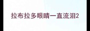 拉布拉多眼睛一直流泪
