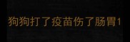 狗狗打了疫苗伤了肠胃