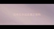 拉布拉多起皮屑正常吗