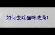 如何去除猫咪洗澡
