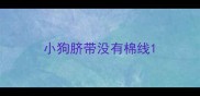小狗脐带没有棉线