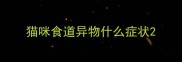猫咪食道异物什么症状