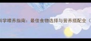 泰迪幼犬科学喂养指南最佳食物选择与营养搭配全附食谱