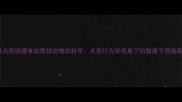 母犬拒绝摄食幼崽排泄物的科学犬类行为学视角下的健康干预指南