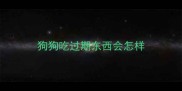 狗狗吃过期东西会怎样