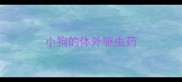 小狗的体外驱虫药