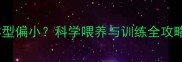 六七个月拉布拉多体型偏小科学喂养与训练全攻略附发育标准表
