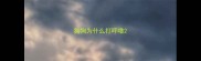 狗狗为什么打呼噜
