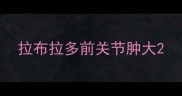 拉布拉多前关节肿大