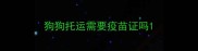狗狗托运需要疫苗证吗