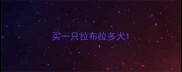 买一只拉布拉多犬