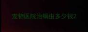 宠物医院治螨虫多少钱