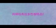 纯种拉布拉多性格特点