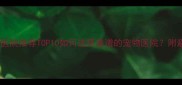 呼市宠物医院推荐TOP10如何选择靠谱的宠物医院附避坑指南