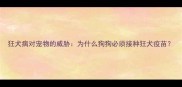 狂犬病对宠物的威胁为什么狗狗必须接种狂犬疫苗