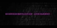 被未接种疫苗的猫抓伤后如何处理这份救命指南请收好
