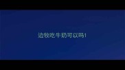 边牧吃牛奶可以吗