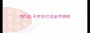 狗狗肚子有虫打疫苗有效吗