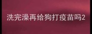 洗完澡再给狗打疫苗吗