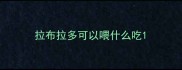 拉布拉多可以喂什么吃