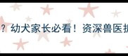 疫苗能不能预防犬瘟幼犬家长必看资深兽医拆解犬瘟疫苗全攻略