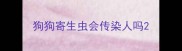 狗狗寄生虫会传染人吗