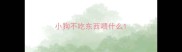 小狗不吃东西喂什么