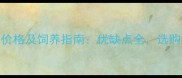 拉布拉多价格及饲养指南优缺点全选购必看攻略