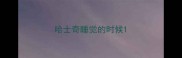 哈士奇睡觉的时候